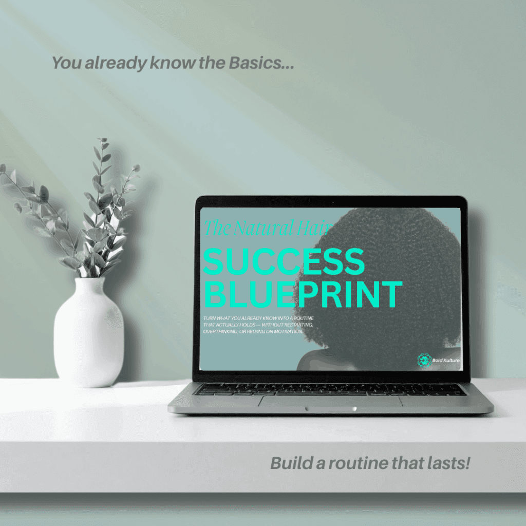 The Natural Hair Success Blueprint